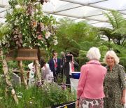 Queen Camilla with Gill Hodgson, Co-founder of The Farewell Flowers Directory